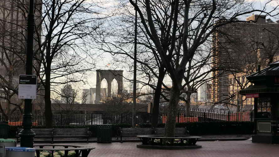 NYC_2020-01-26 07-43-13_P1070442